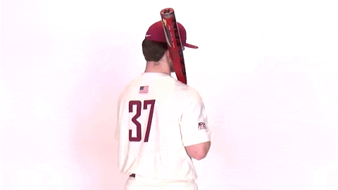 Baseball Roll Pards GIF by Lafayette Leopards
