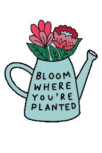 Dubai Bloom Sticker