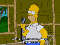 homer simpson GIF