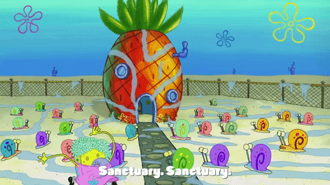 Season 9 Sanctuary GIF by SpongeBob SquarePants