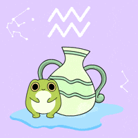 Bitcoin Frog GIF by Ordinary Frends