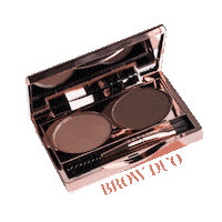 Teviant makeup cosmetics brows kim chiu Sticker