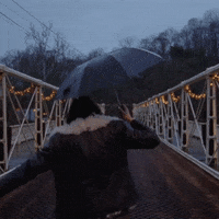 Balance GIF by Sharon Van Etten