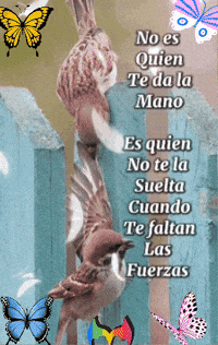 Amigos GIF by Murcianys LLC