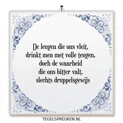 Reflectie Waarheid GIF by Tegelspreuken.nl