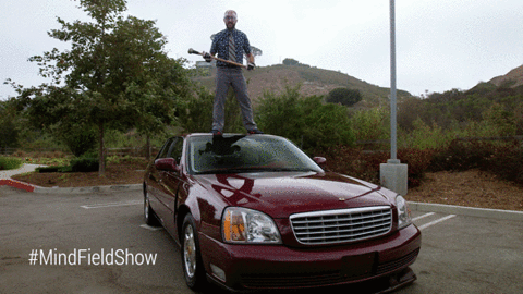 GIF by Mind Field