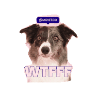 Surprise Omg Sticker by Movet