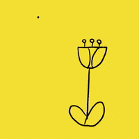 Benjamingottwald flower surprise flowers eating GIF