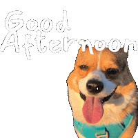 Greetings Corgi Sticker