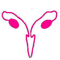 Black Lives Matter Feminism Sticker