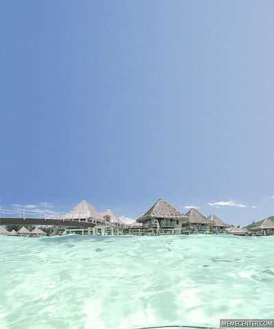 serenity GIF