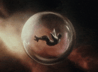 Thejokesonme GIF by AUDREY NUNA