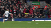 London Football GIF by Tottenham Hotspur