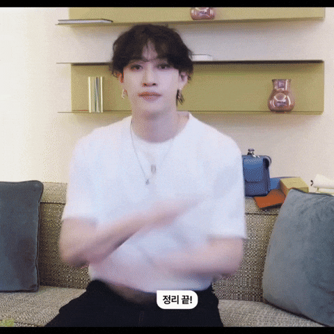 Stray Kids Skz GIF