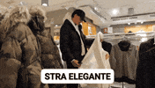 Luis Sal GIF