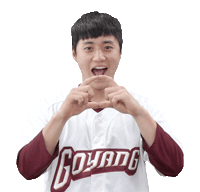 키움히어로즈 Sticker by Kiwoom Heroes Baseball Club