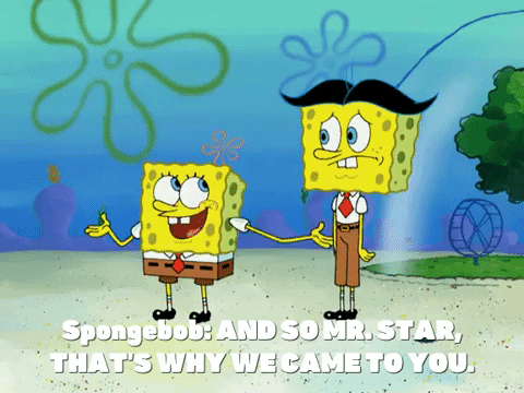 season 5 episode 20 GIF by SpongeBob SquarePants