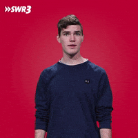 No Idea What GIF by SWR3