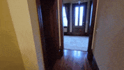 Surprised GIF by Dead Meat James