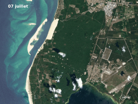 theobernardomg giphygifmaker GIF