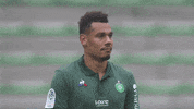 asse asseofficiel GIF by AS Saint-Etienne
