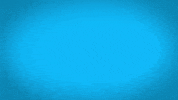 2021 GIF by BIGI_TV