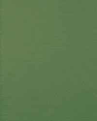 Surprised Shock GIF by Timbers