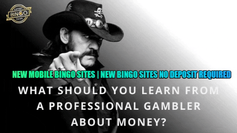 Ladyspin giphygifmaker onlinebingogames topbingosites bestbingositesuk GIF