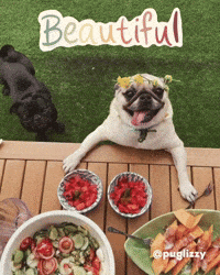 Beautiful Day Friday GIF