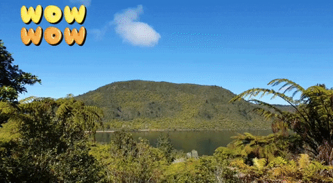 New Zealand Lakes GIF by Jub
