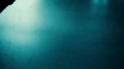 music video GIF by Republic Records