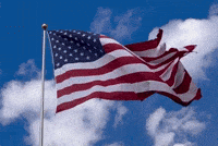 Independence Day GIF by Charli Gurl