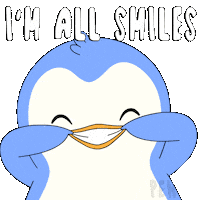 Joy Smile Sticker by Pudgy Penguins