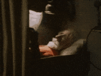 BertilEnstoring sova skrotnisse bertil GIF