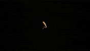 cheese size matters GIF by ADWEEK