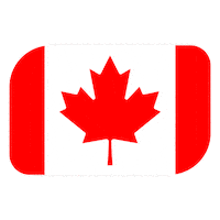 World Cup Football Sticker