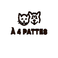 a_4_pattes_paris paris chat chien animalerie Sticker