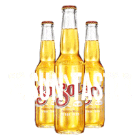 Sun Weekend Sticker by Sol Beer