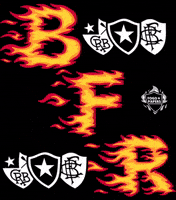 Botafogo De Futebol E Regatas Bfr GIF