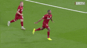 celebration GIF by Liverpool FC