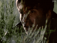x files GIF by The X-Files