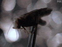 x files GIF by The X-Files