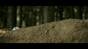 Mtb GIF by StifMTB