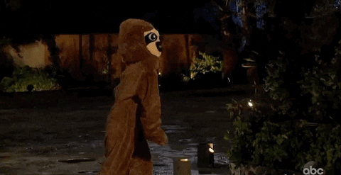 episode 1 abc GIF by The Bachelor