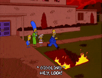 homer simpson GIF