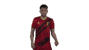 Red Devils Football Sticker by Royal Belgian FA