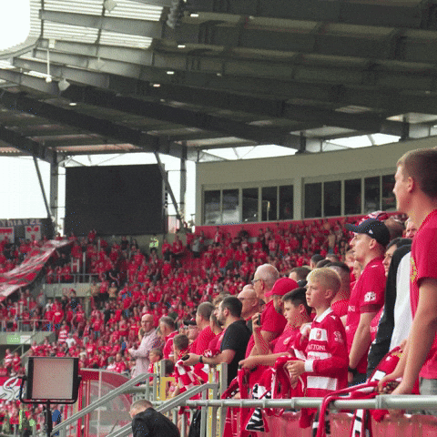 Football Club GIF by Widzew Łódź