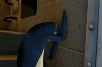 wall GIF