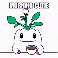 Good Morning Hello GIF by Magic Eden