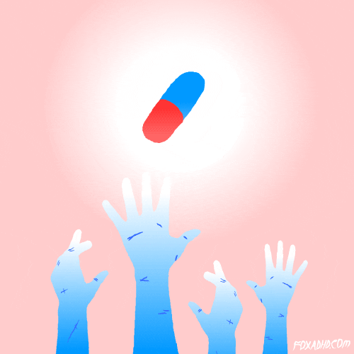 Pain Killer Fox GIF by Animation Domination High-Def